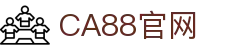 CA88(中国区)有限公司 - 集团